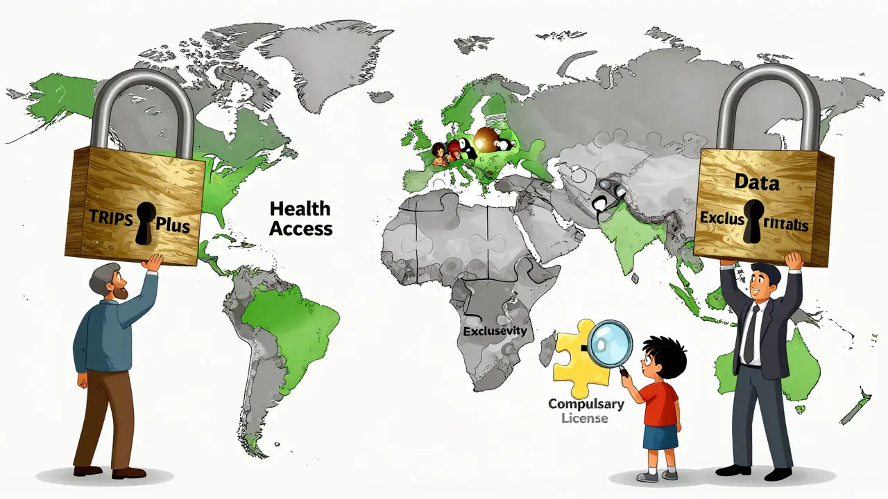 A fractured global map being pieced together by low-income nations, while wealthy nations block access with legal locks labeled TRIPS-Plus.