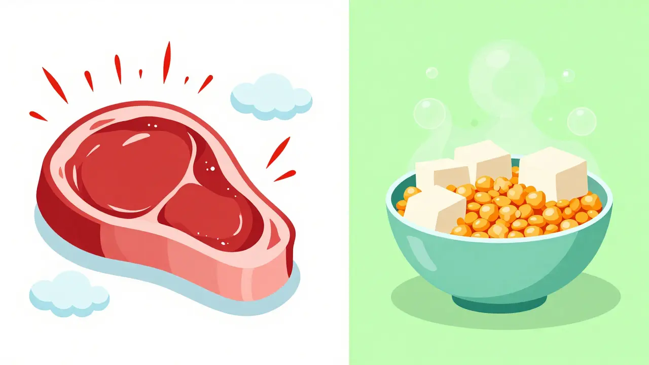 Comparison illustration between heavy animal proteins and gentle plant-based proteins for kidney health.